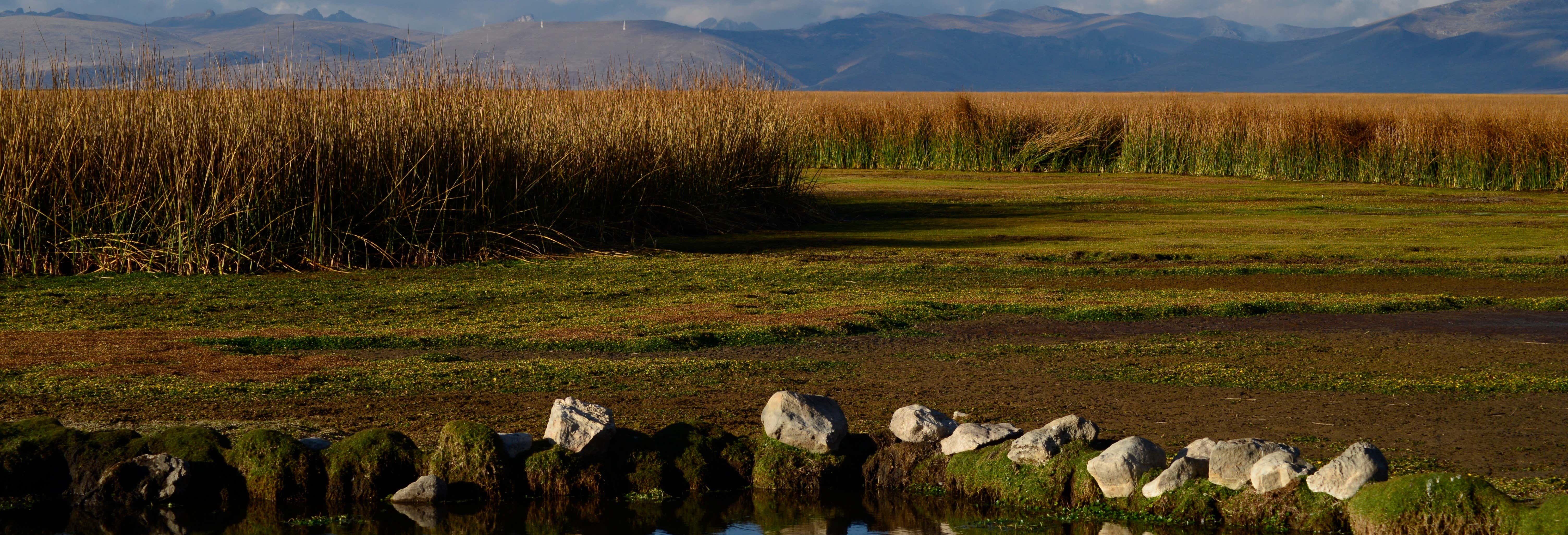 Chacamarca Sanctuary, Lake Junin & Ondores Tour