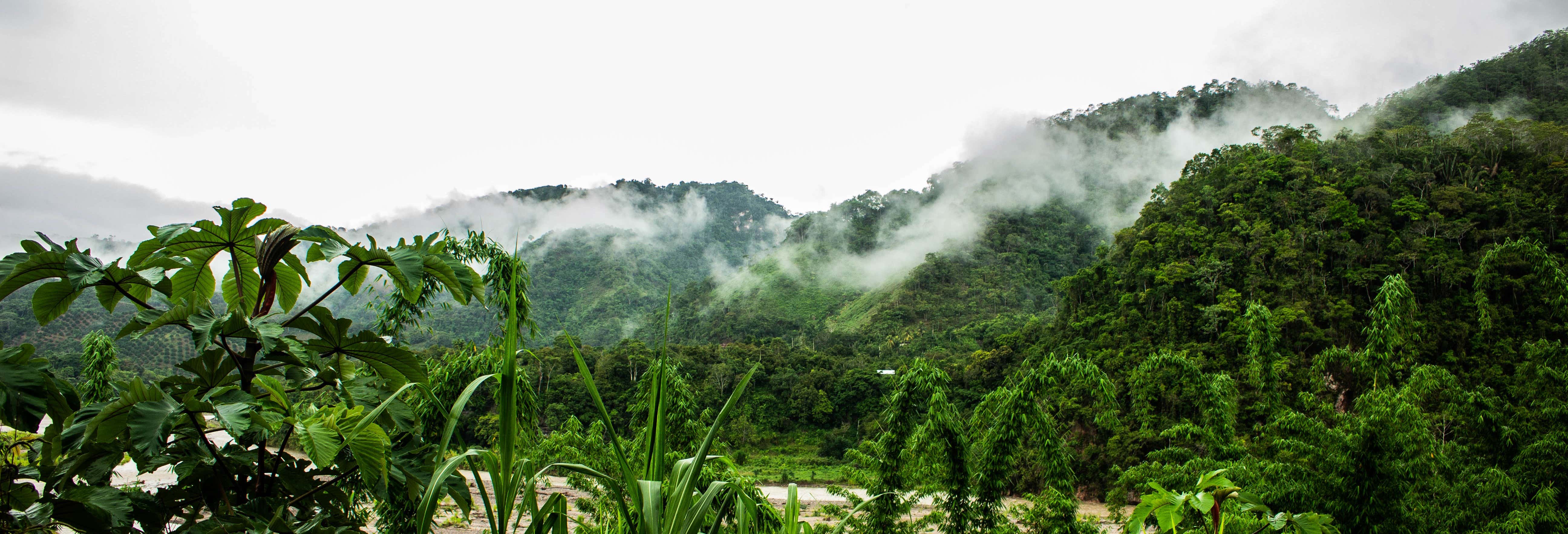 Chanchamayo Valley Tour