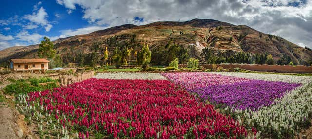 Tour della Valle de las Flores