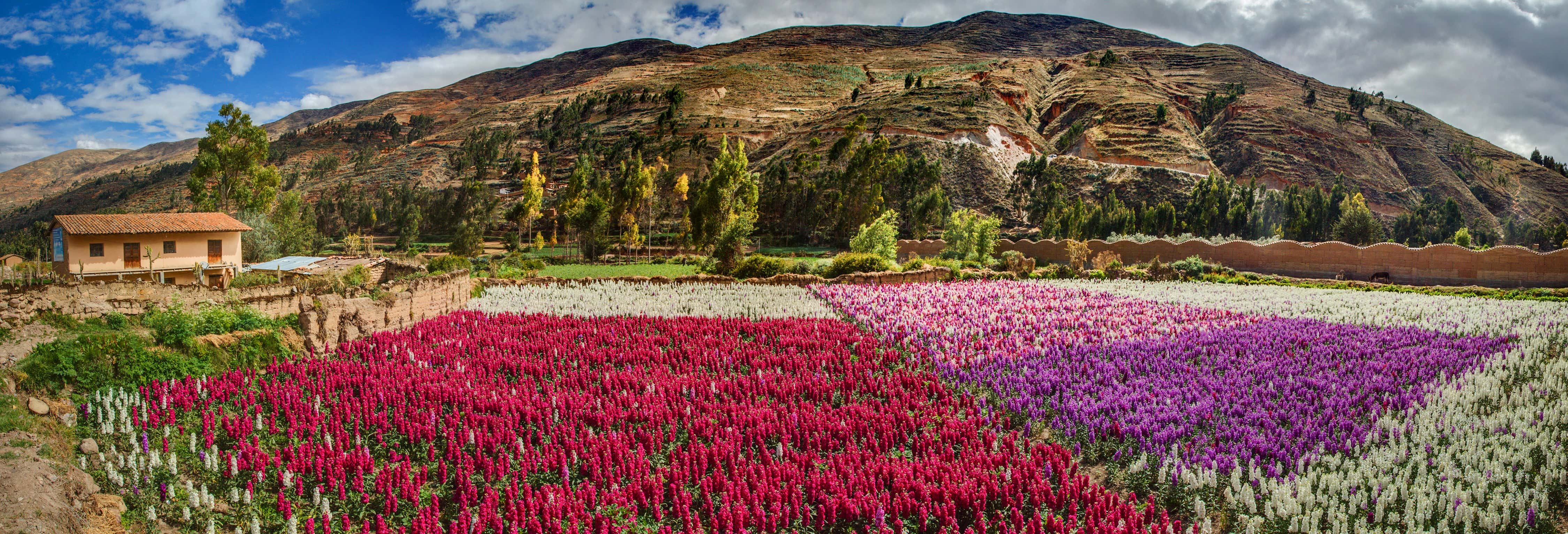 Valley of the Flowers Tour