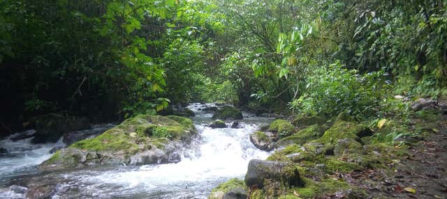 Escursione a Gloriapata