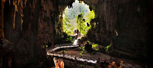 Escursione al Parco Nazionale Tingo María