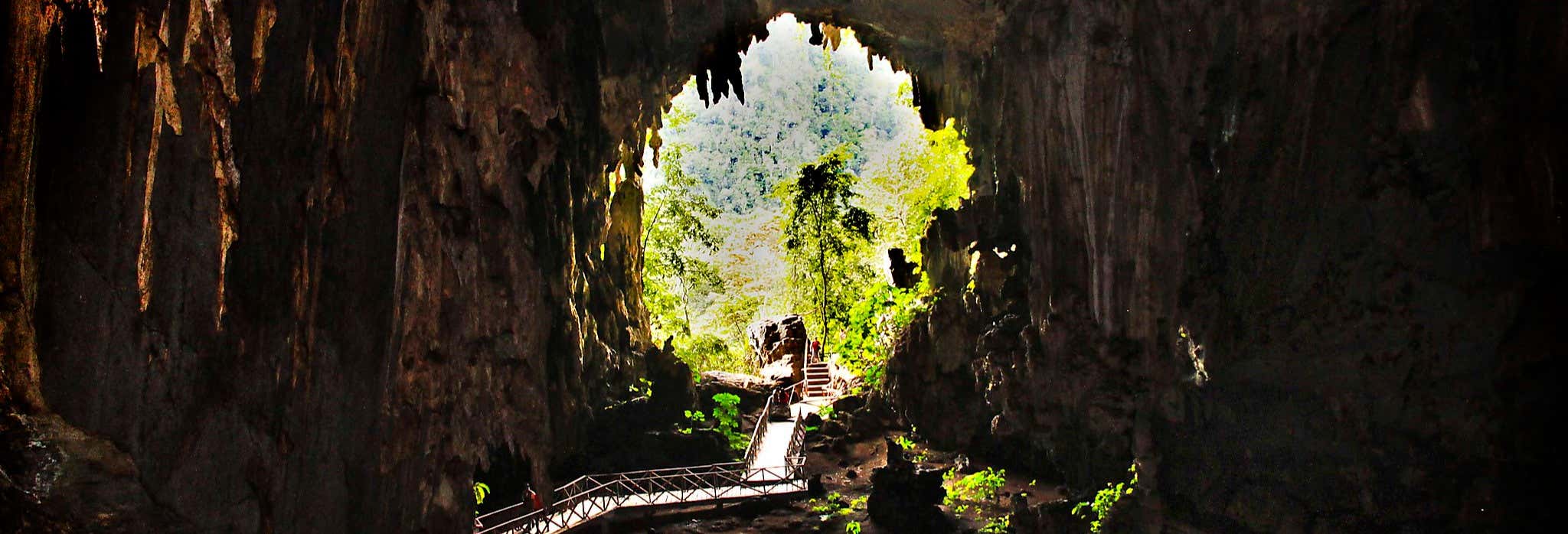 Tingo María National Park Tour