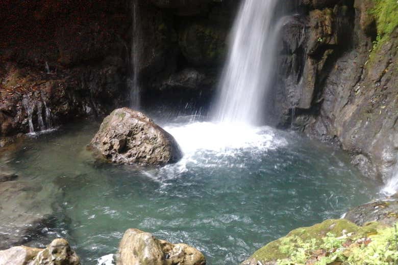 Imagen 7