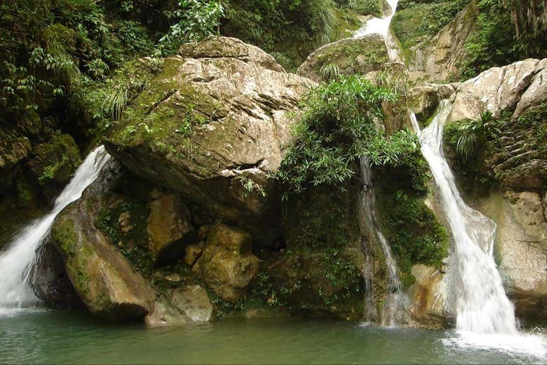 Imagen 2
