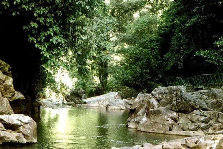 Imagen 4