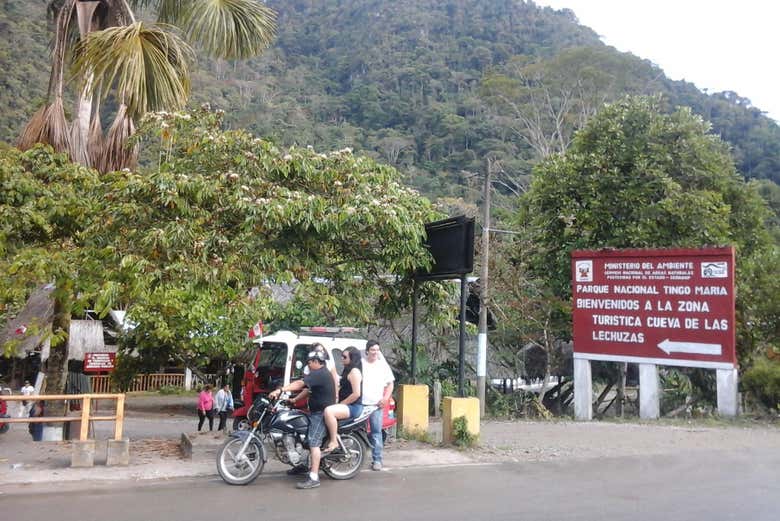 Imagen 4