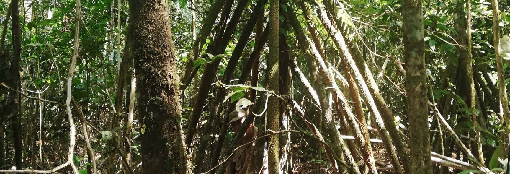 Laguna de los Milagros Hiking & Meditation Tour