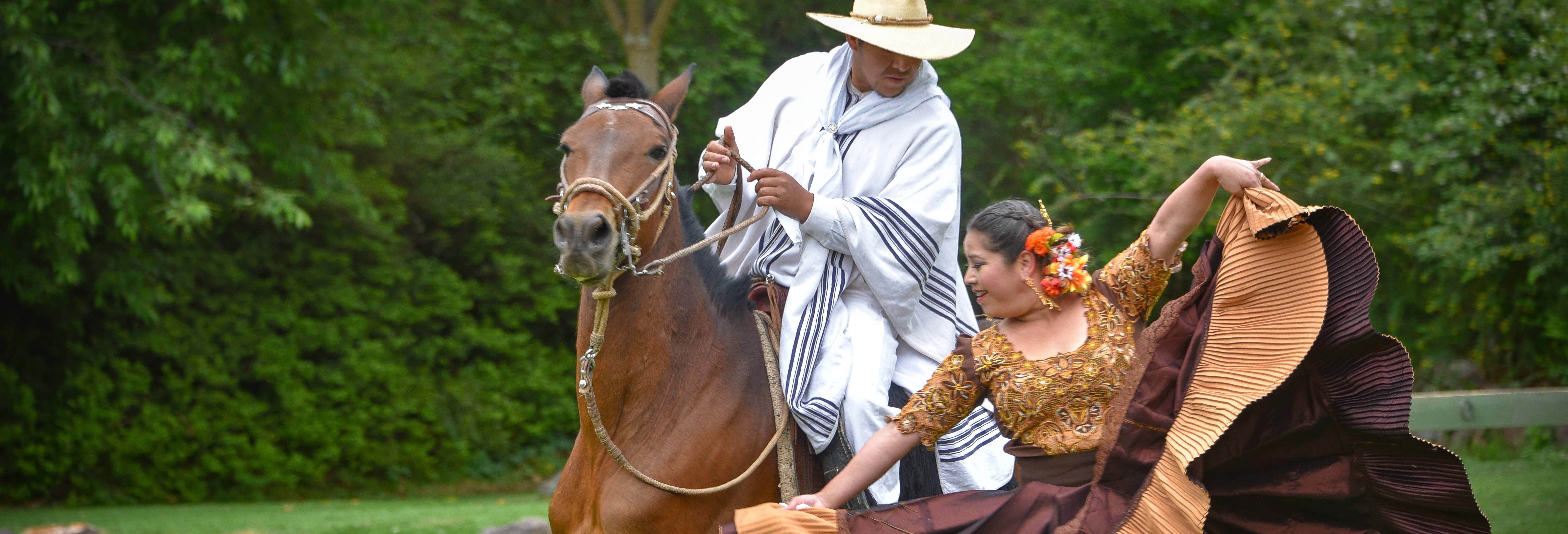 Marinera Show with Peruvian Paso Horses