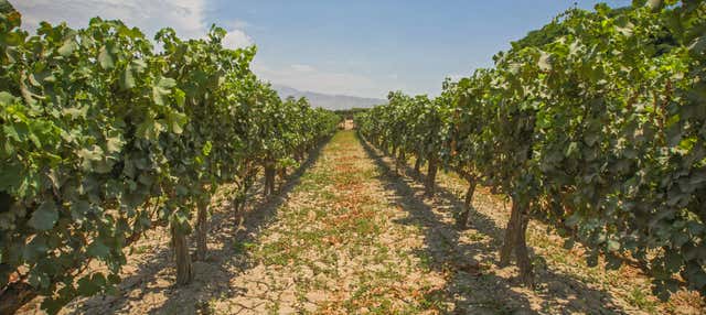 Excursion à Cascas
