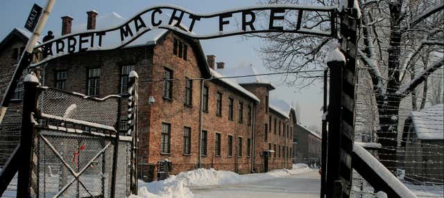 Offerta: Auschwitz + Miniera di Sale in un solo giorno