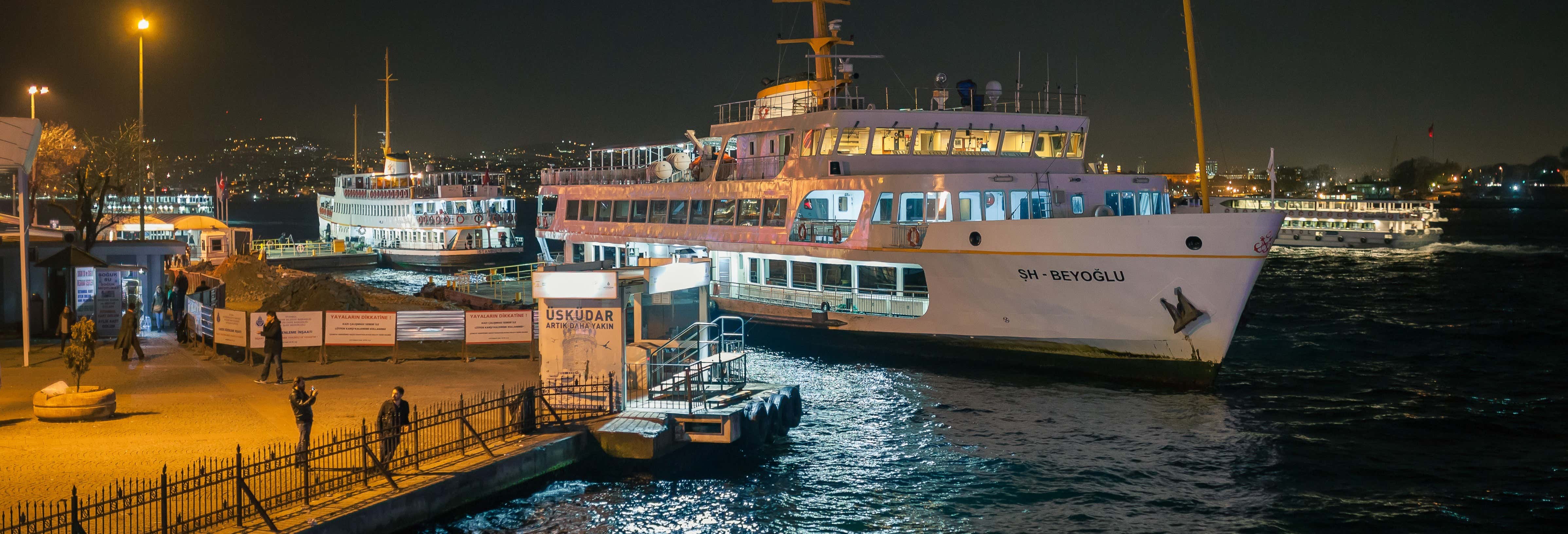 Vistula River Night Cruise