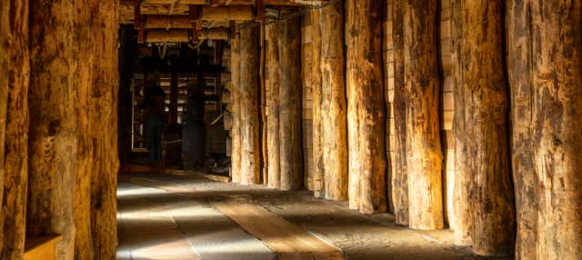 Tour della Miniera di sale di Cracovia