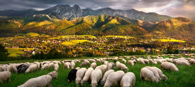 Escursione a Zakopane e terme di Chochołów