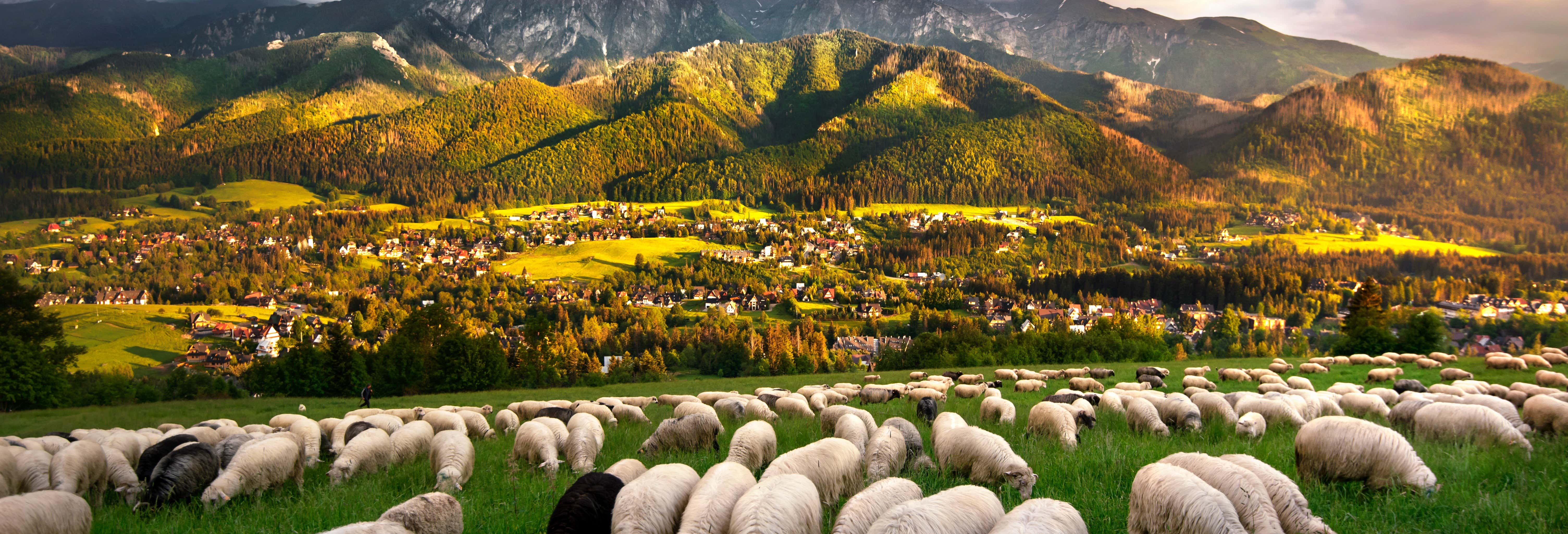 Escursione a Zakopane e terme di Chochołów