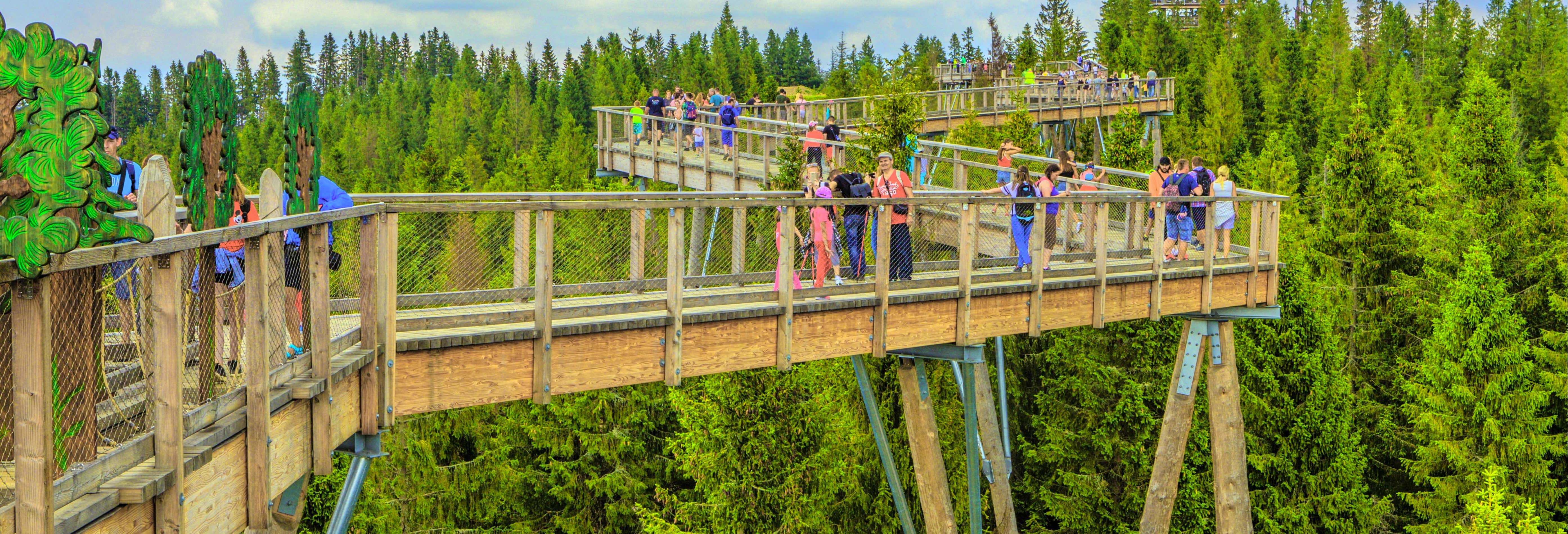 Escursione a Zakopane + Treetop Walk Bachledka