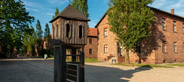Visite guidée d'Auschwitz-Birkenau