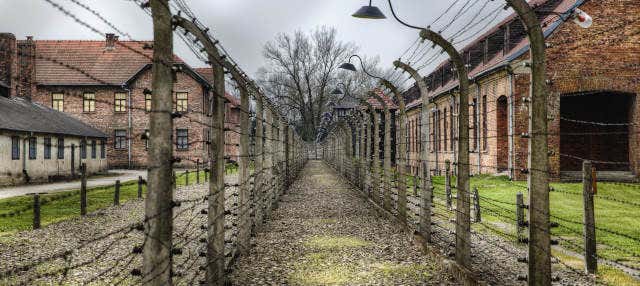 Excursion privée à Auschwitz-Birkenau