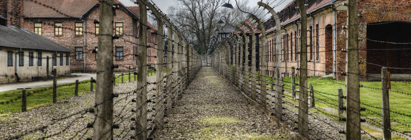 Excursão privada a Auschwitz-Birkenau 