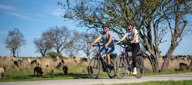 Tour di Albufeira in bici elettrica
