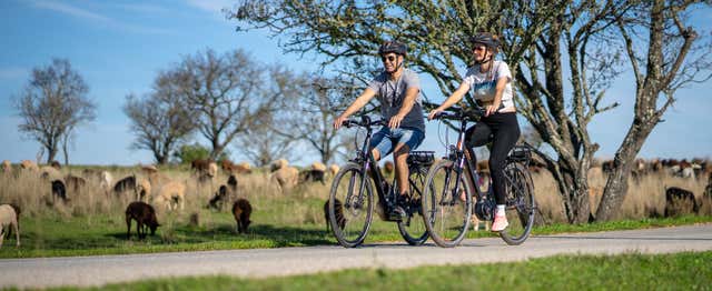 Visite dans Albufeira en vélo électrique