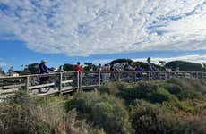 Ria Formosa Bike Tour
