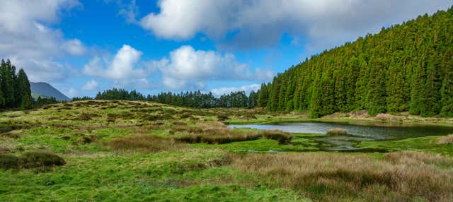 Tour di Terceira in bici elettrica
