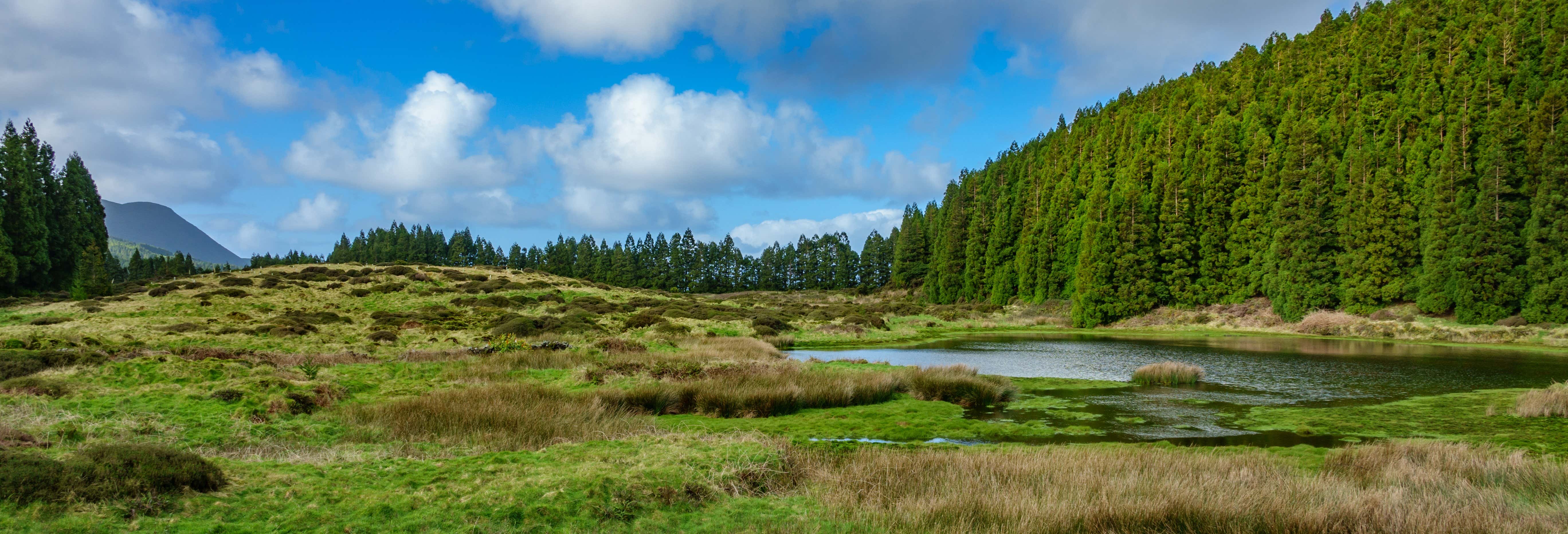 Terceira Electric Bike Tour