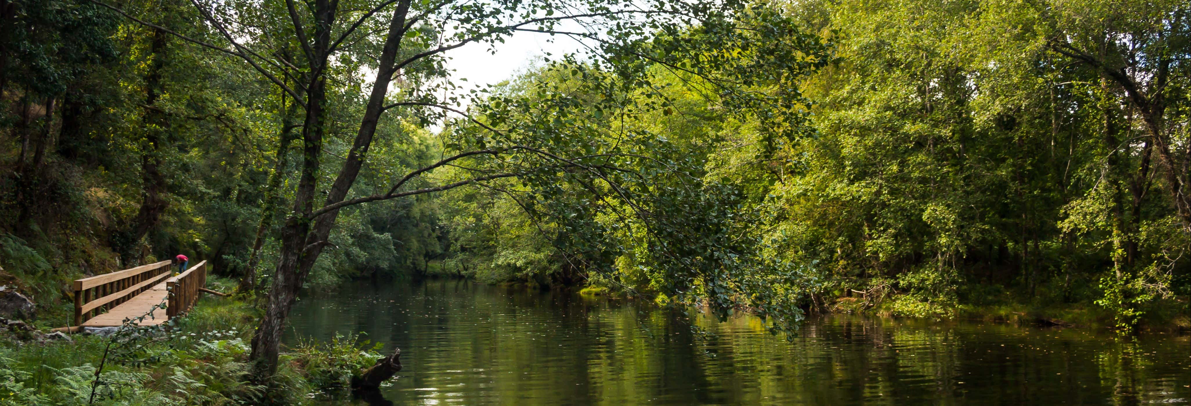 Paddle Surf Tour on Vez River