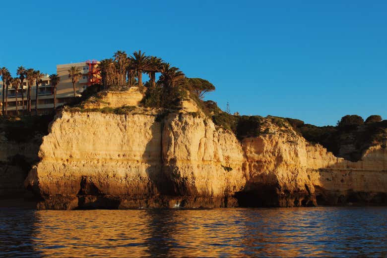 Imagen 19