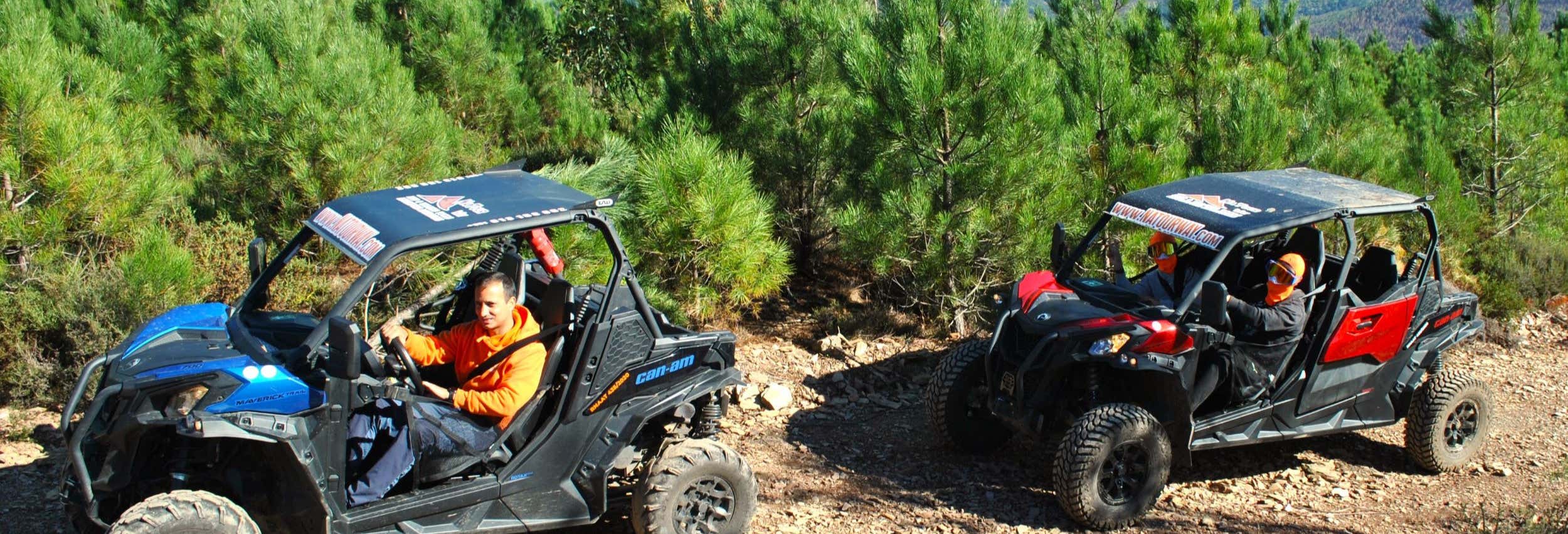 Arouca Buggy Tour