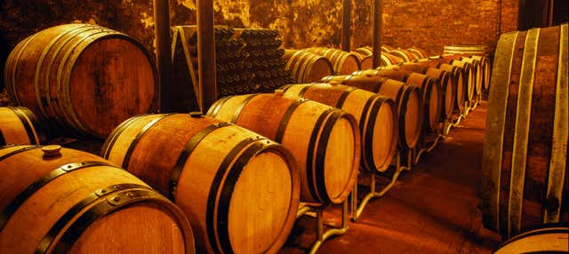 Degustazione di vino ad Aveiro