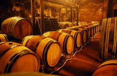 Aveiro Wine Tasting