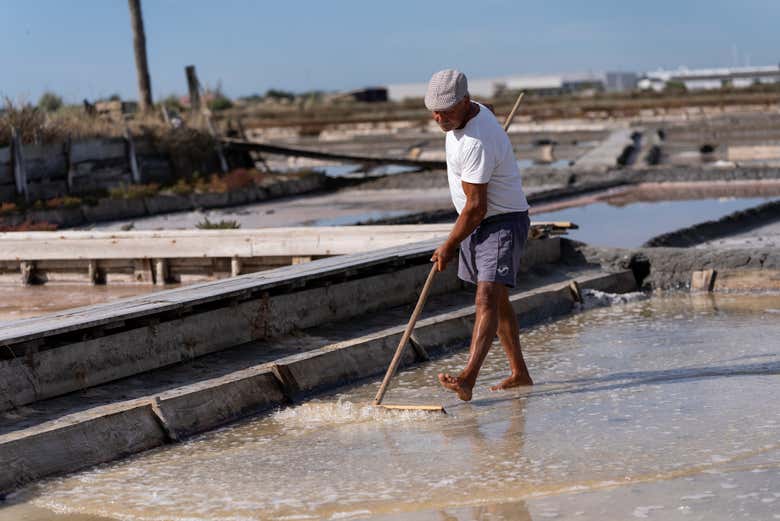 Imagen 2