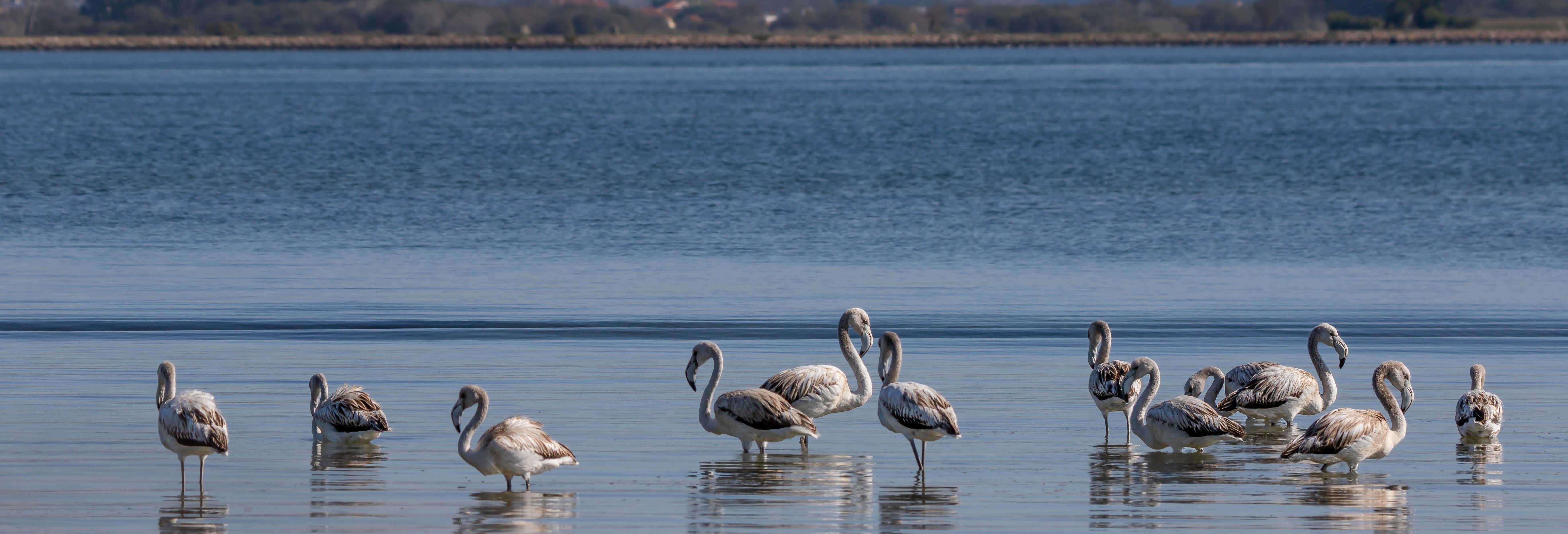 Paseo en barco por la ría de Aveiro