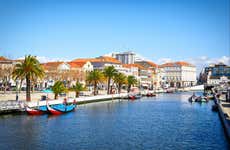 Costa Nova, Aveiro Salt Flats & Moliceiro Cruise