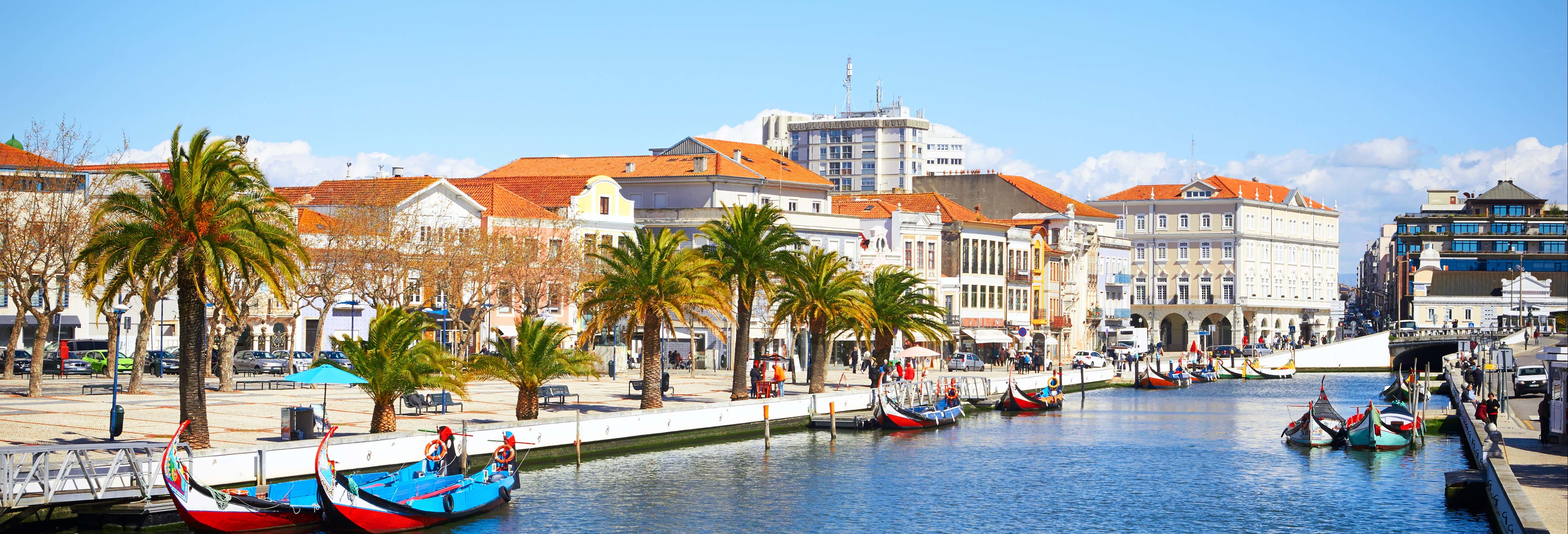 Costa Nova, Aveiro Salt Flats & Moliceiro Cruise