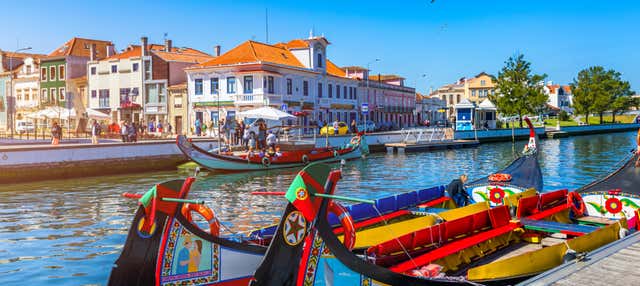 Tour privato di Aveiro