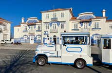 Aveiro Sightseeing Train + Moliceiro Boat Ride