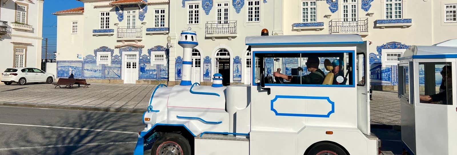 Aveiro Sightseeing Train + Moliceiro Boat Ride