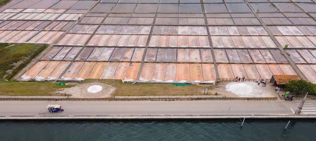 Visita guidata delle saline di Aveiro