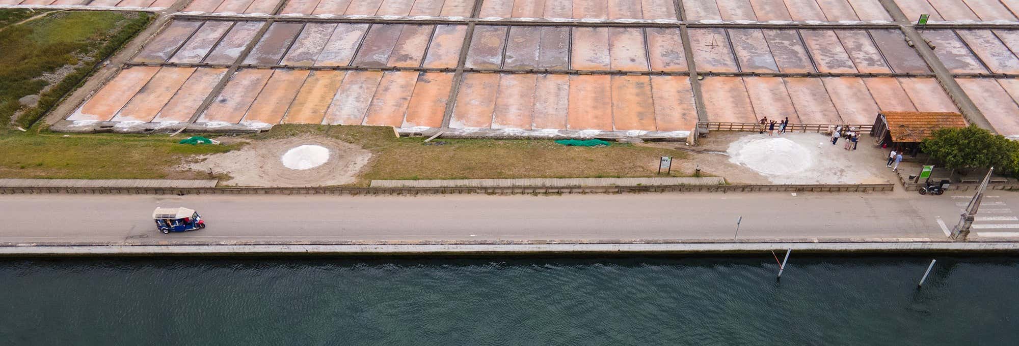 Visita guidata delle saline di Aveiro