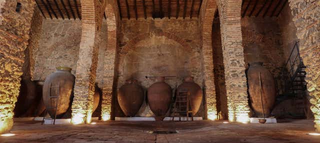 Visita alla cantina Grande Prova Honrado