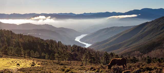 Escursione al Parco di Peneda-Gerês