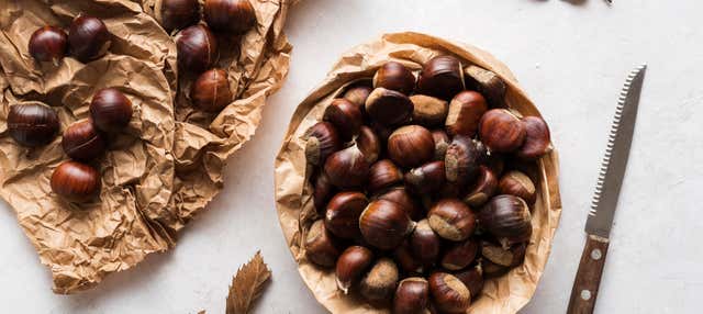 Visita della Marron Oficina da Castanha