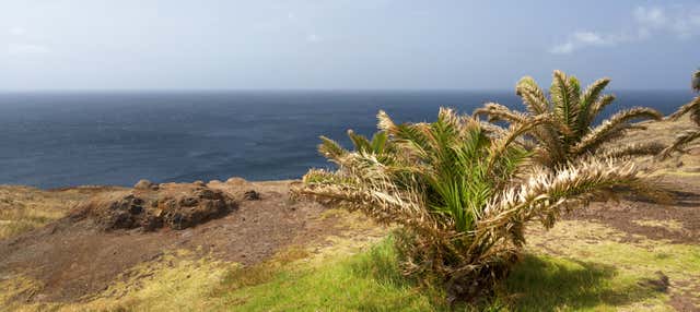 Escursione a Ponta de São Lourenço + Kayak e snorkeling