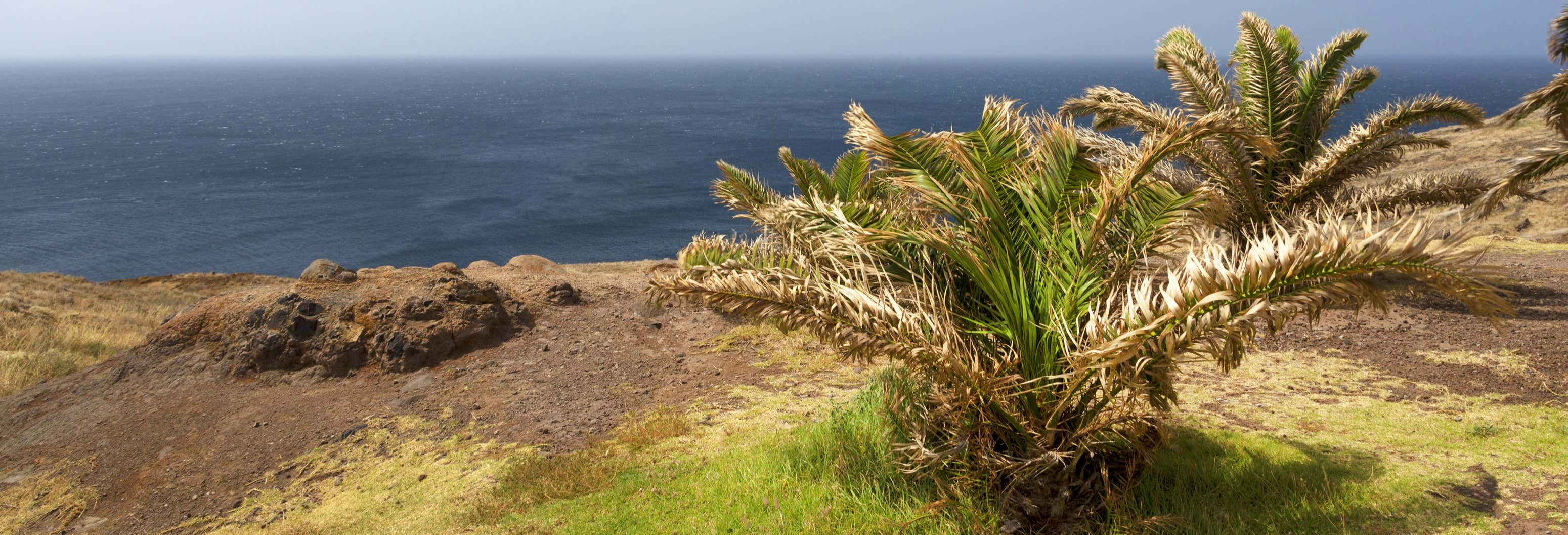 Ponta de São Lourenço + Kayaking & Snorkeling Tour