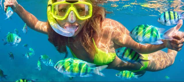 Snorkeling a Ponta de São Lourenço