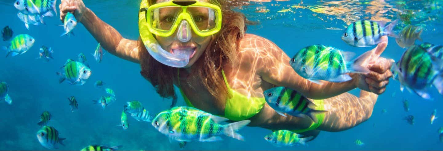 Snorkelling at Ponta de São Lourenço