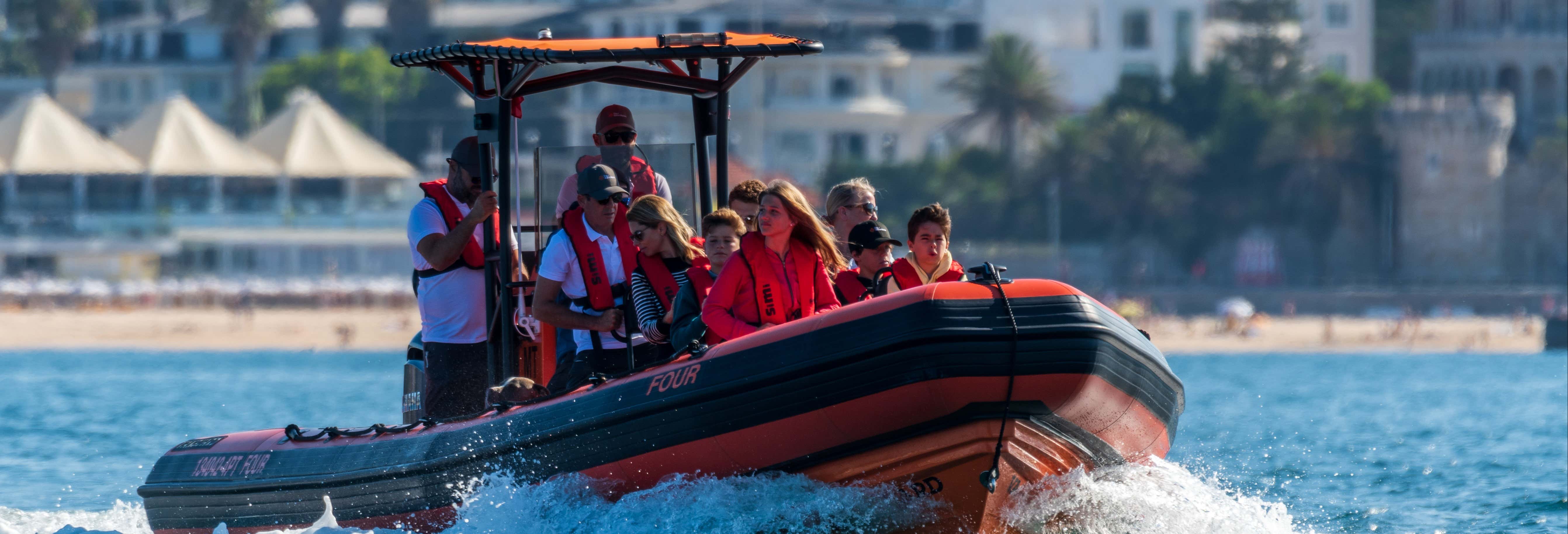 Dolphin Watching in Cascais